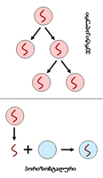 0x01 graphic